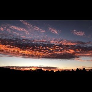 Meet your Posher, Anne